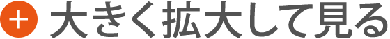 大きく拡大して見る